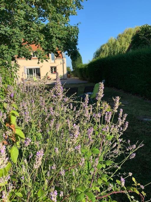 Maison Village, 10 Pers, Proche De La Plage Audinghen Exterior photo